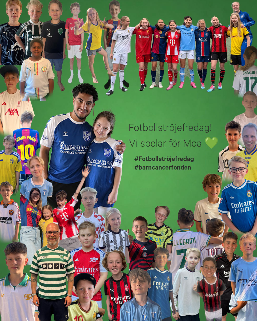 Elin Fasth image